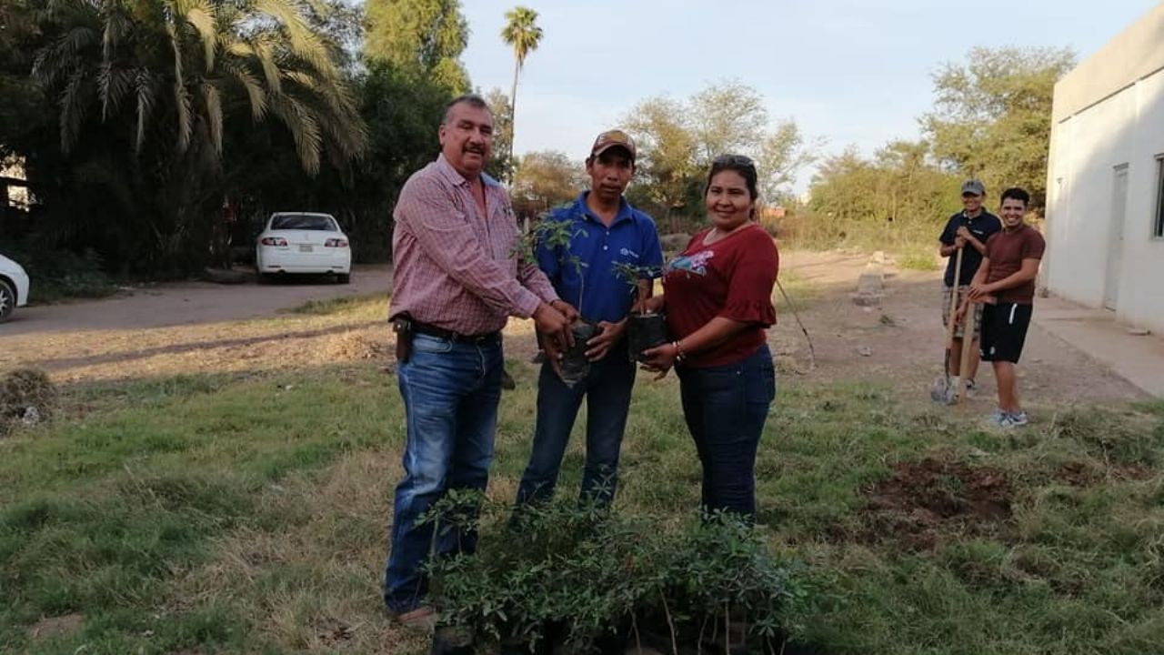 En comunidad rural de Etchojoa realizan una jornada de reforestación