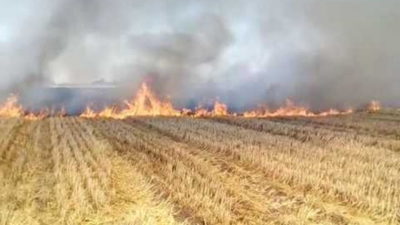 Dirección de Ecología de Huatabampo llama a cuidar el medio ambiente
