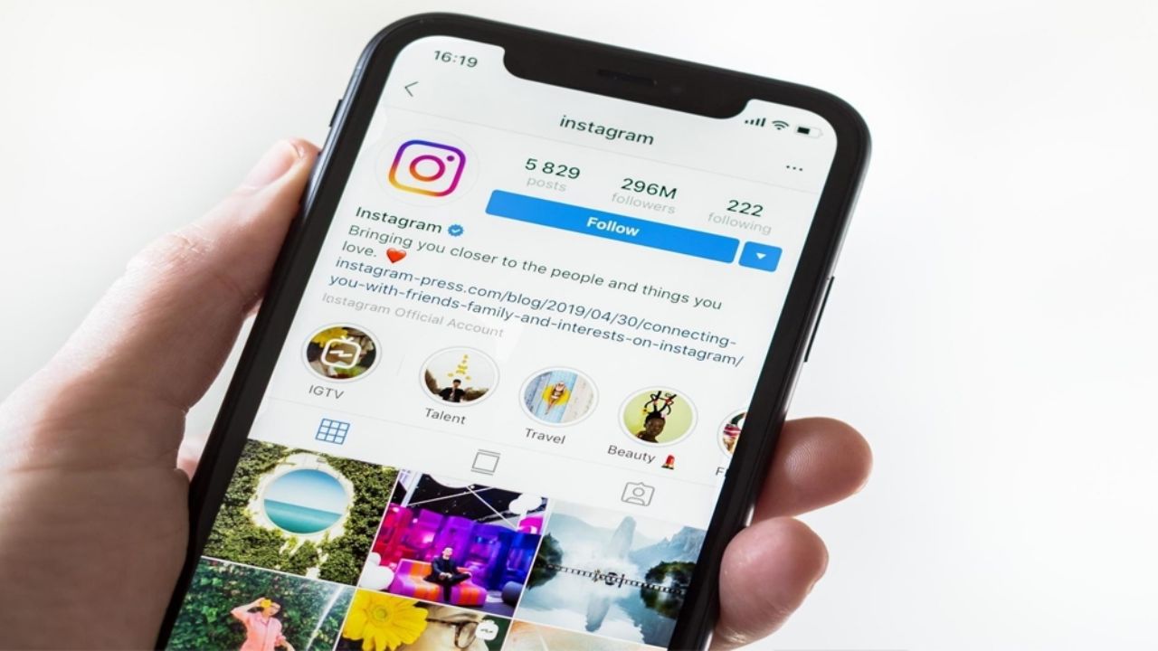 Conoce las cuentas de Instagram para disfrutar de la naturaleza esta cuarentena