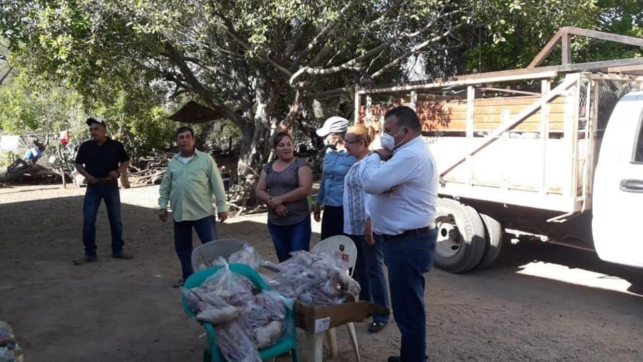 Familias de la zona rural de Álamos se apoyan con las despensas