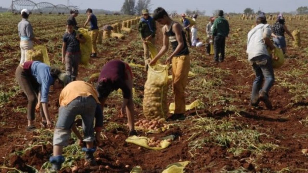 Jornaleros de Huatabampo resultan afectados con filtros de vigilancia