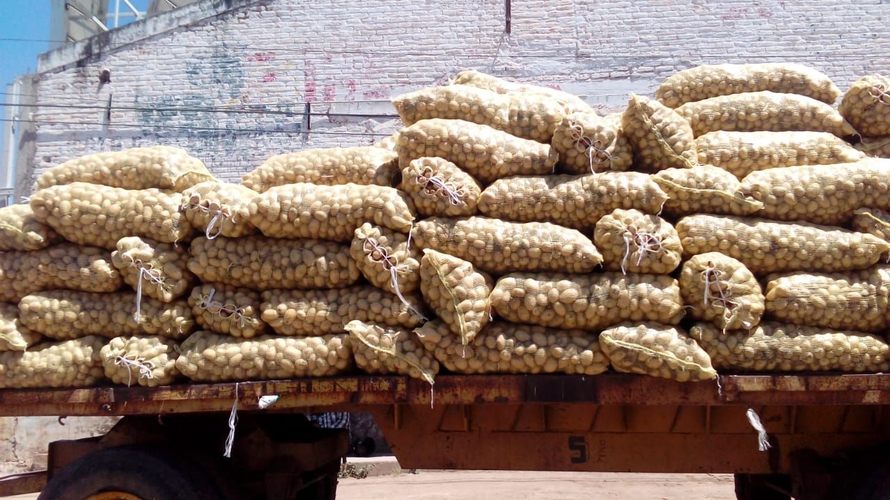 La venta de papas de Huatabampo se encuentra estancada por la pandemia