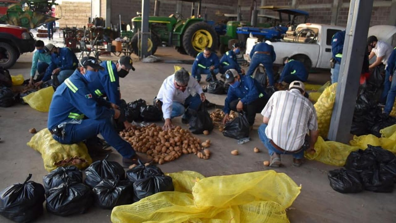 Módulos de Riego y Sociedad de Usuarios reparten mil despensas en Navojoa