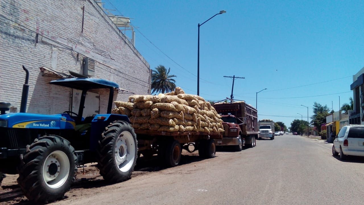 Familias en Huatabampo recibirán 200 toneladas de hortalizas