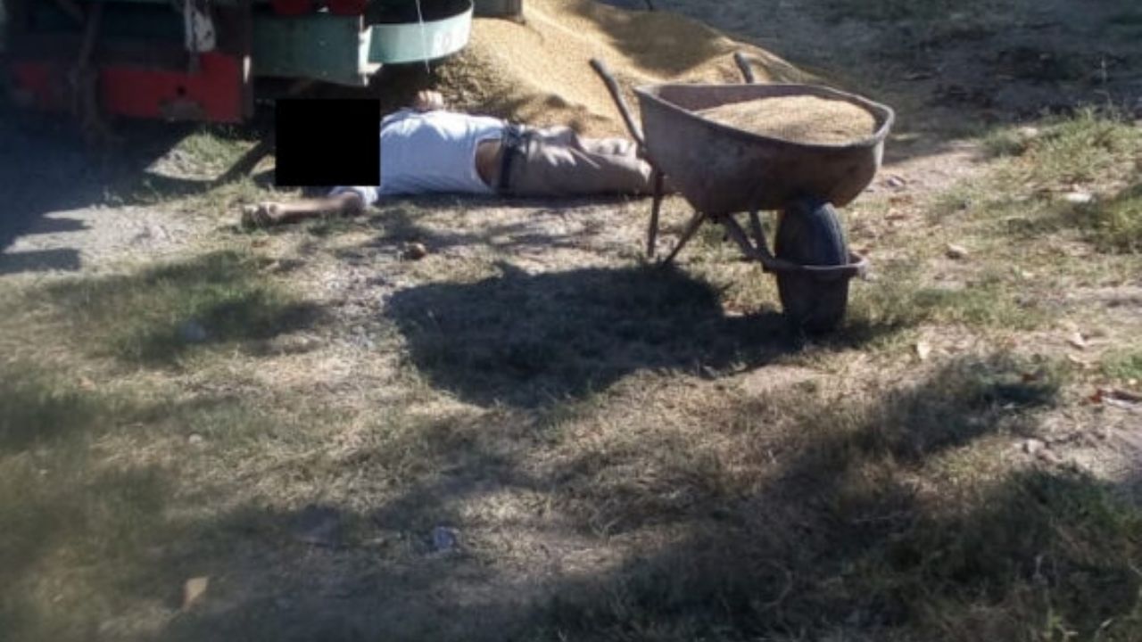 Un velador es asesinado en Huatabampo por ladrones de trigo