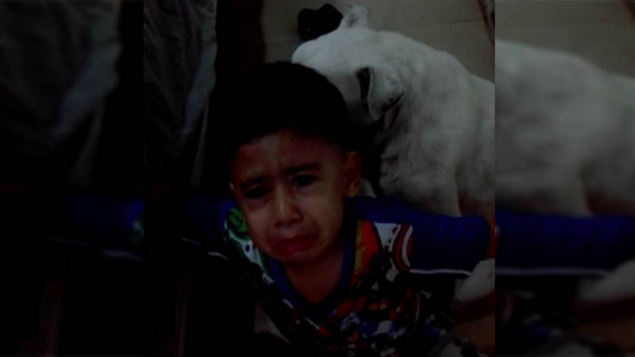(VIDEO) Niño defiende a su perro de regaño: “El es como mi hermanito”