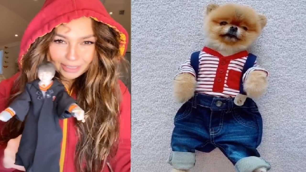 Thalía se convierte en ‘Harry Potter’; ni su perrita se salva de sus ocurrencias