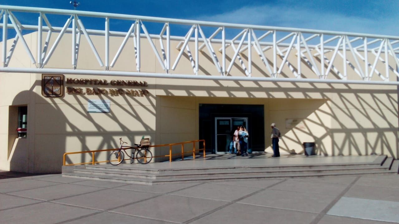 En Huatabampo despuntan las picaduras de animales ponzoñosos