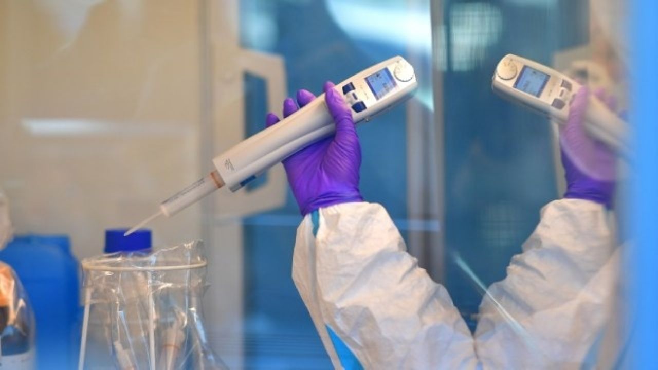 Científicos del IPN desarrollan la prueba para detectar Covid-19 en 15 minutos