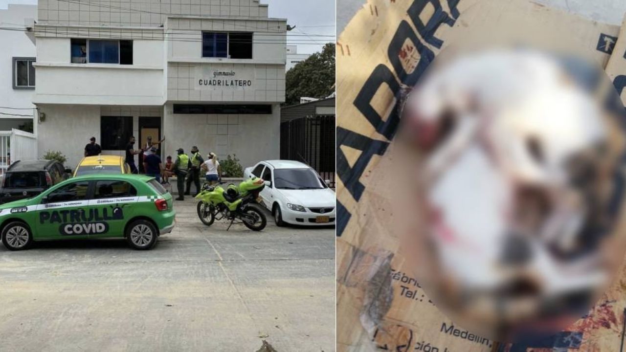 Detienen a dos boxeadores por matar gatos; los usaban como peras de boxeo