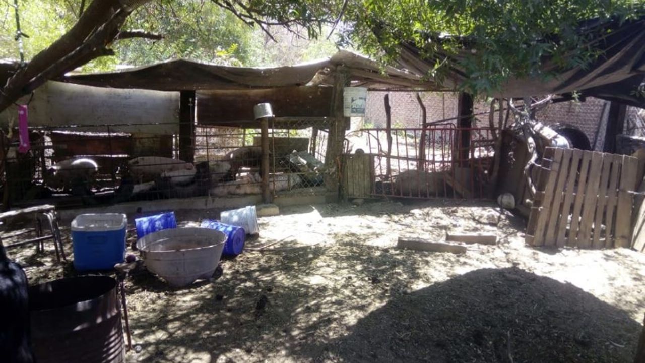 En zona rural de Etchojoa fomentan campaña ‘Comunidad libre de Corral’