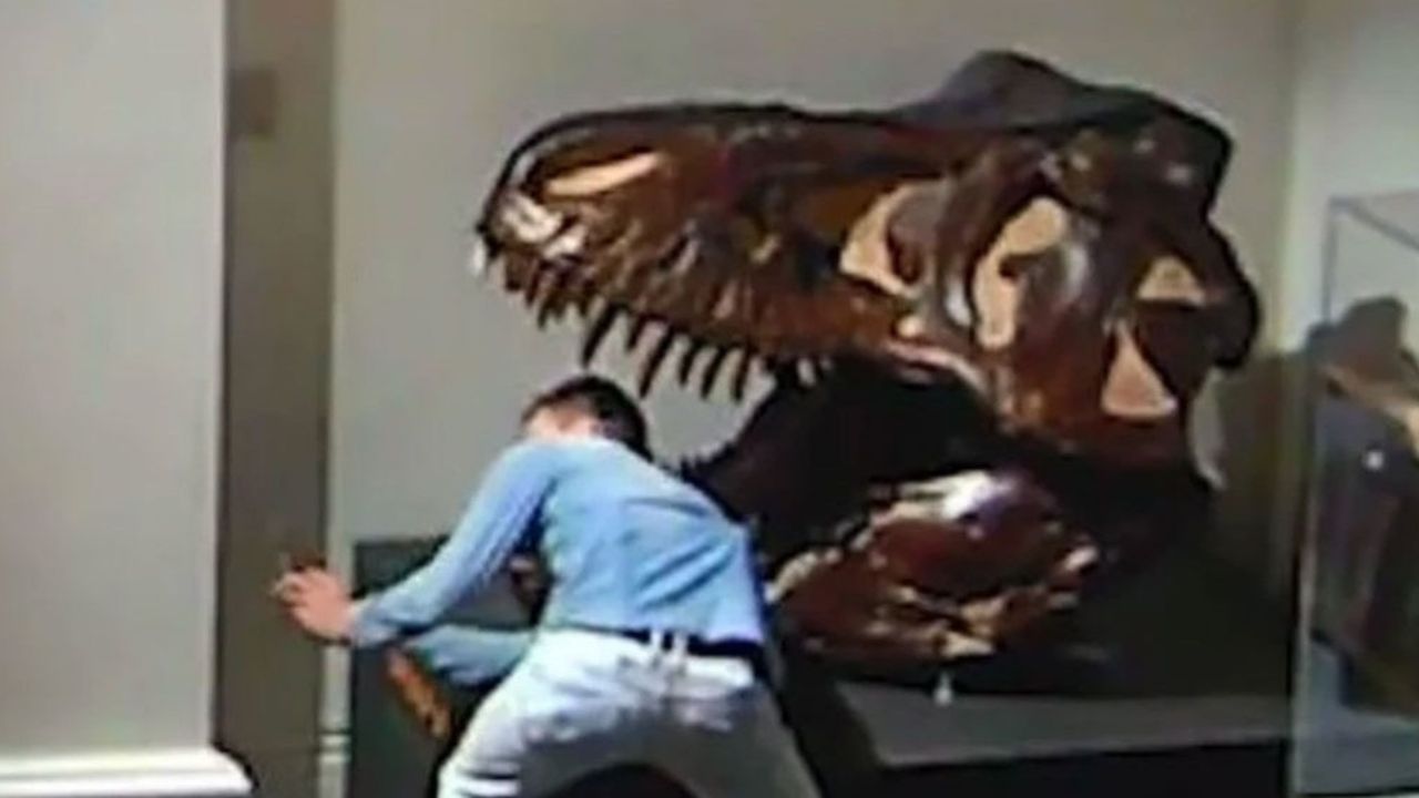 VIDEO: Arrestan a joven por pasar una noche en el museo, pero para robar