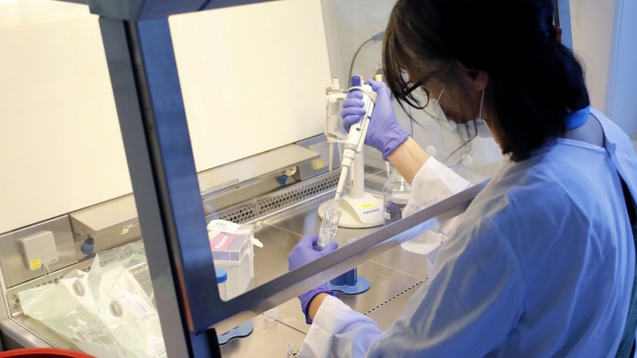 Ayuda Covid-19: IPN busca desarrollar anticuerpos que combatan al virus