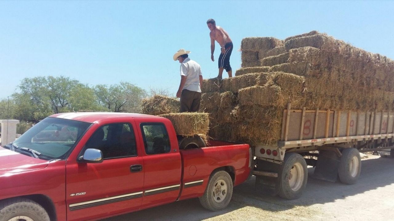 Ganaderos del Valle del Yaqui son ‘mordidos’ por elementos de transito