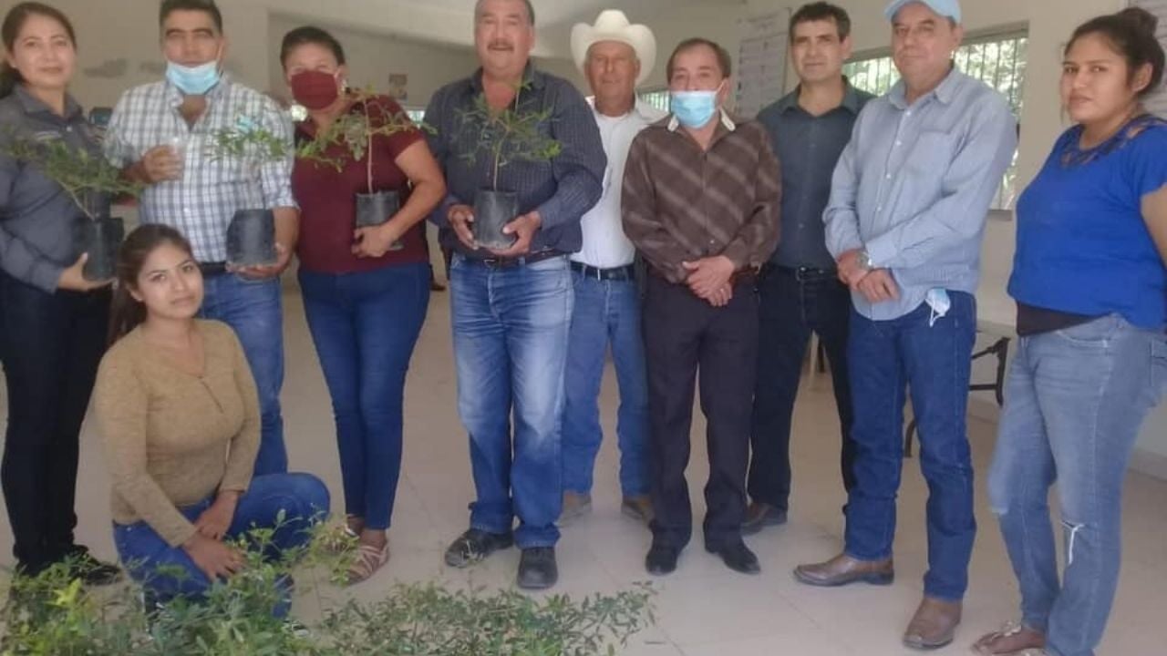 Vecinos de comunidades rurales buscan reforestar Etchojoa