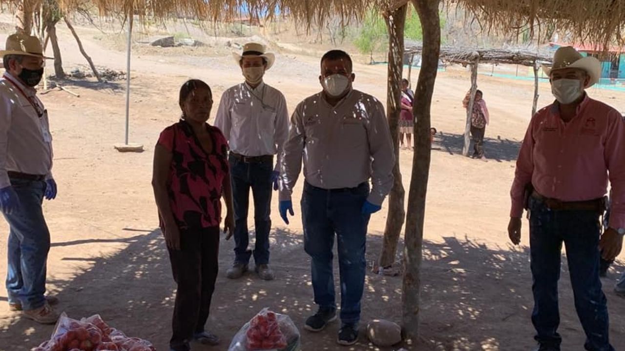 Los Guarijios de Álamos son apoyados con despensas alimentarias