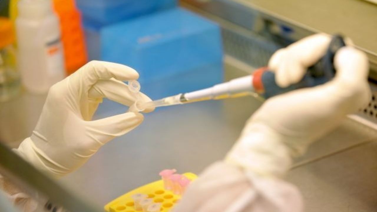 Ayuda Covid-19: Vacuna británica realizará sus ensayos en 10 mil personas