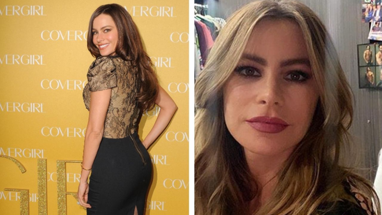 Sofía Vergara aprovecha el encerrón para tomar el sol en traje de baño