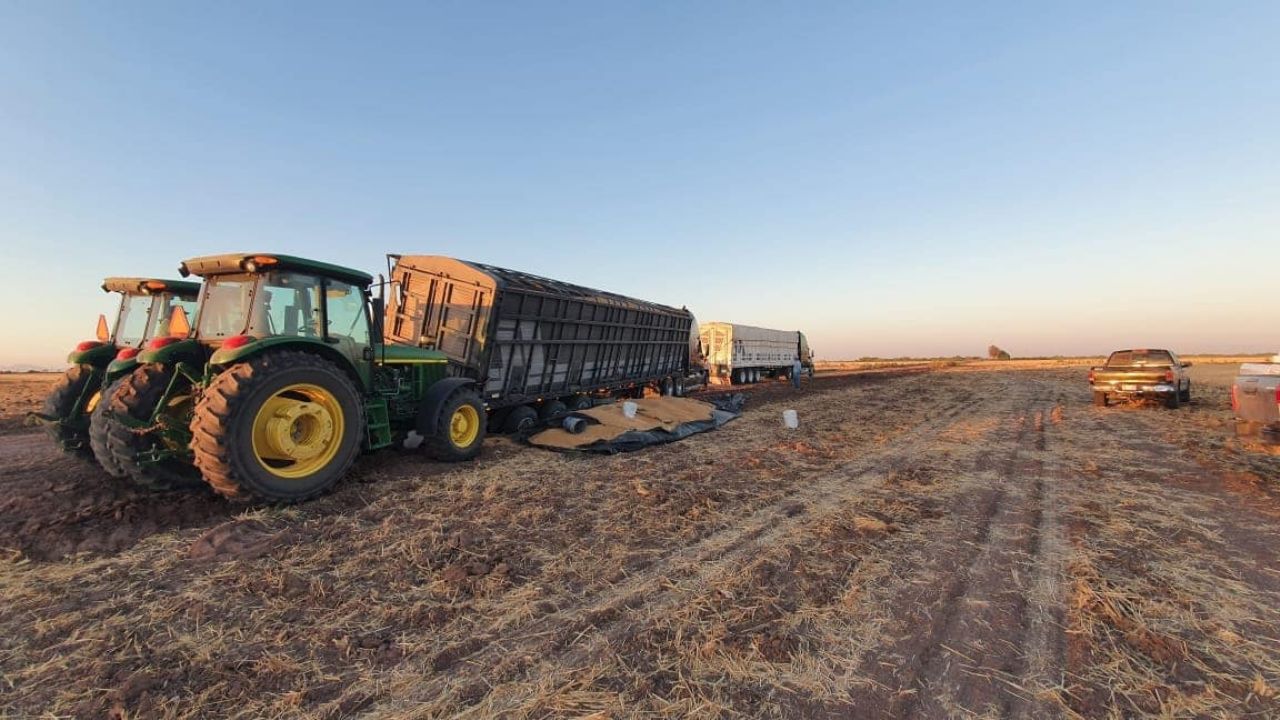 Falta de acuerdos con industrias complica la venta de trigo de Sonora