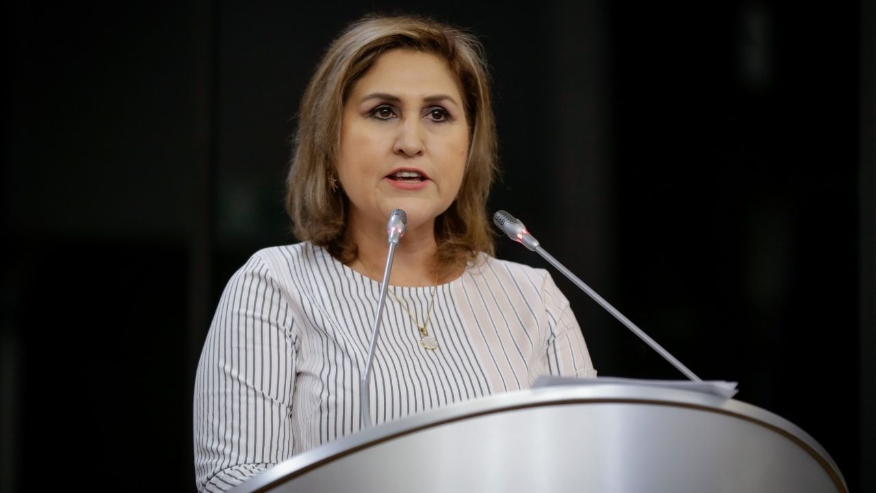 Sonora: Rosy Martínez, diputada local del PRI, da positivo a Covid-19