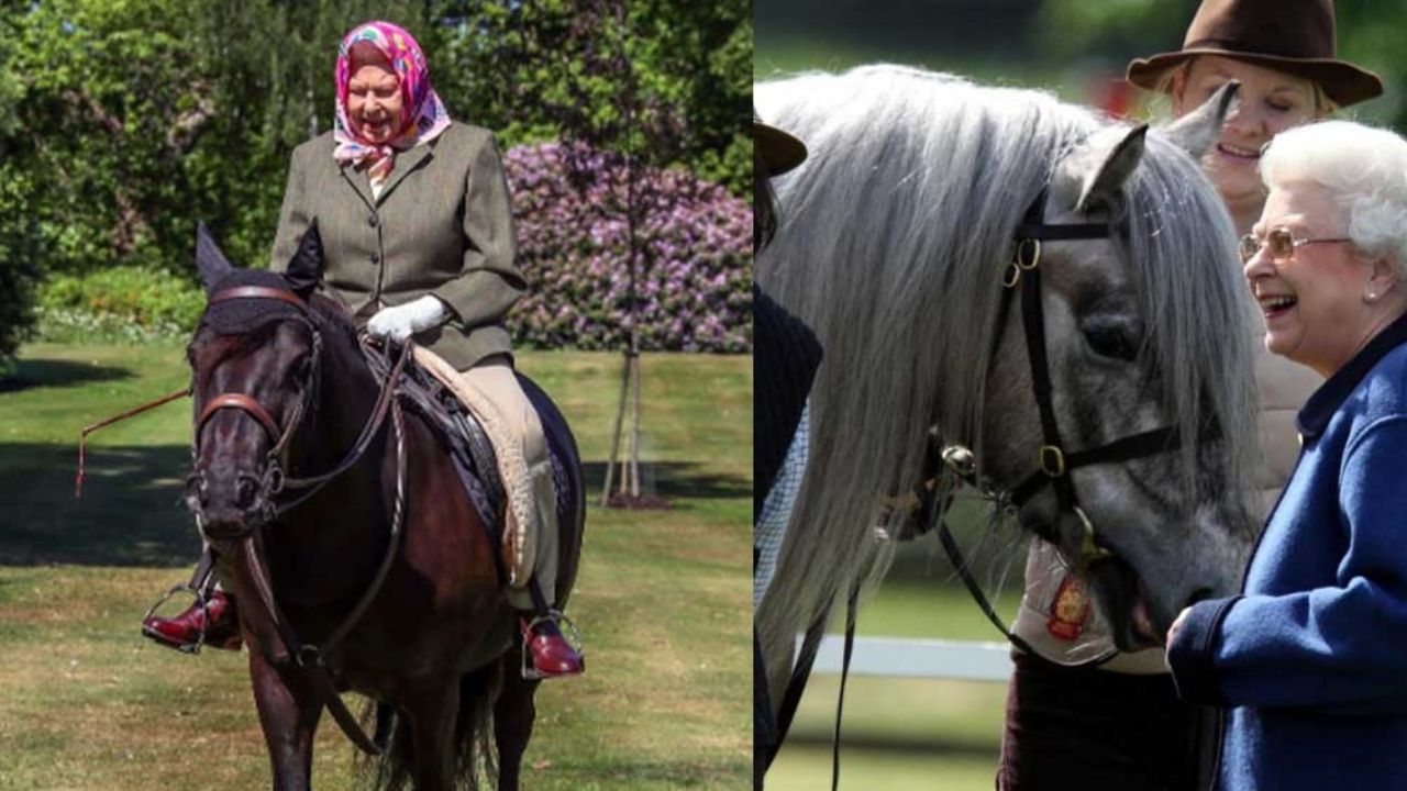 A sus 94 años, la Reina Isabell II disfruta de una cabalgata mientras se aísla en Windsor