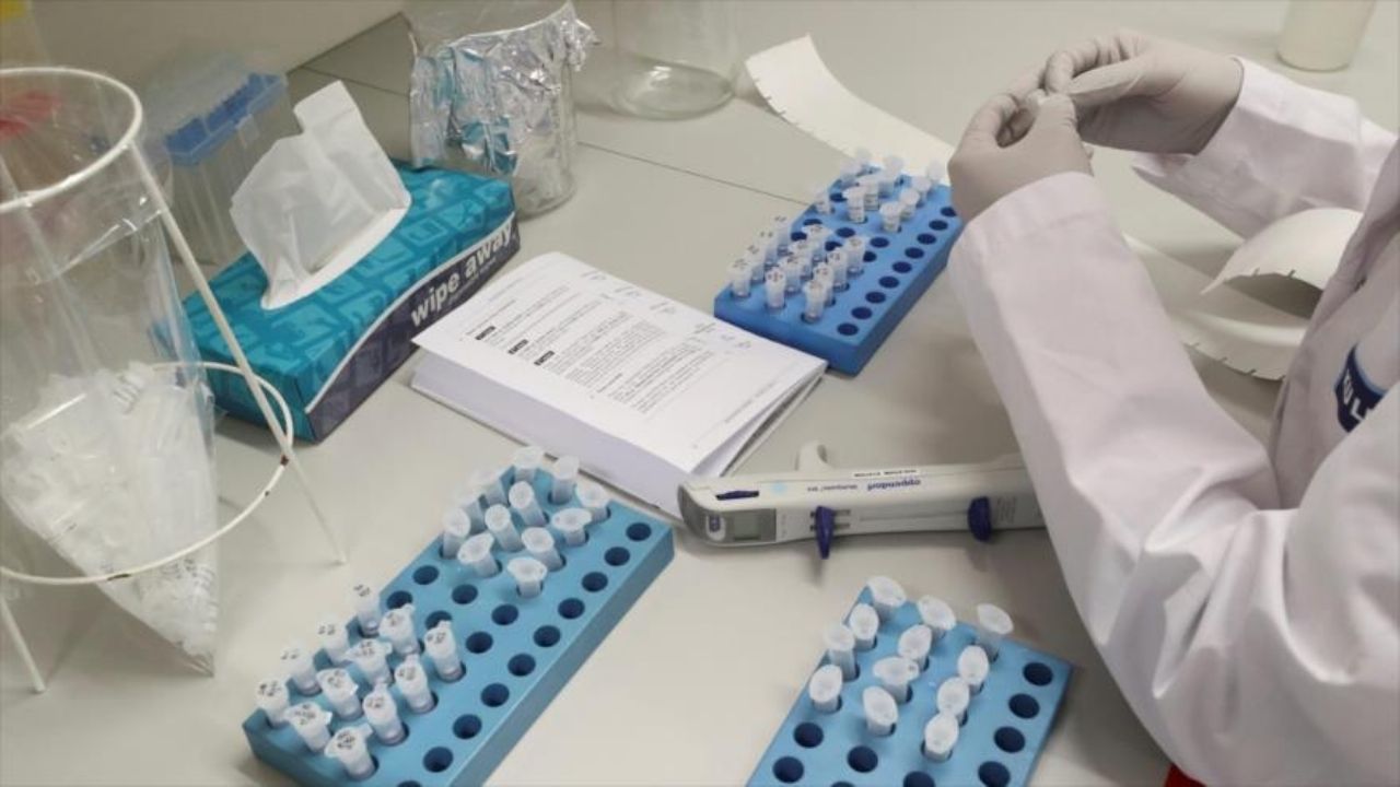 Ayuda Covid-19: Estudio halla dos fármacos que podrían ser útiles contra el coronavirus