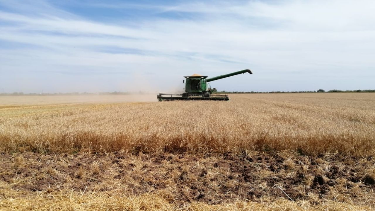 COVID-19, un obstáculo más para dar apoyos al sector agrícola