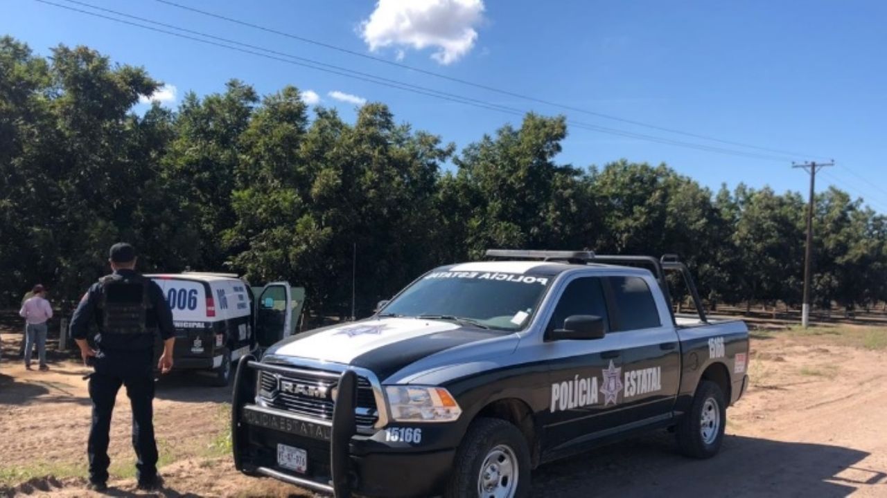 Macabro hallazgo en el Valle del Yaqui: Encuentran cuerpo decapitado en una camioneta