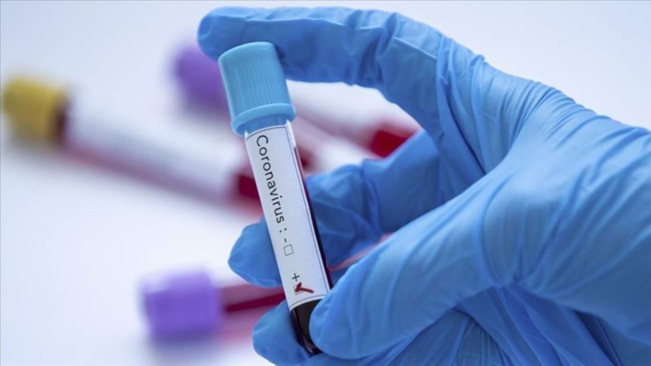 Ayuda Covid-19: Crean plataforma para medir el impacto del aislamiento a nivel mundial