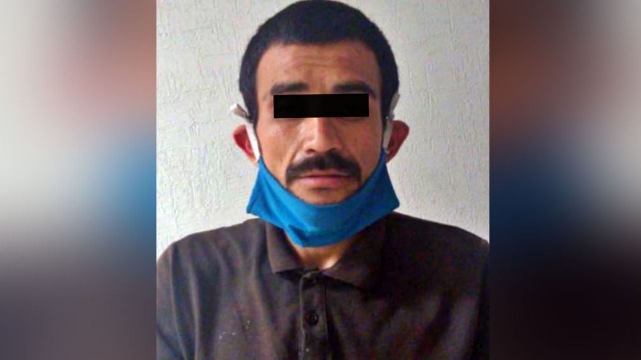 Crueldad animal: Por matar a una perrita, ‘El Taz’ es vinculado a proceso