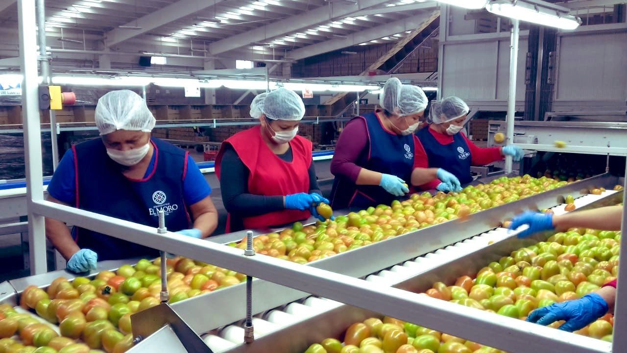 México logra cuatrimestre histórico de exportaciones agropecuarias