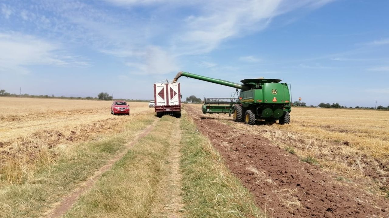 Productores: “Segalmex favorece al sector industrial con nuevos esquemas”