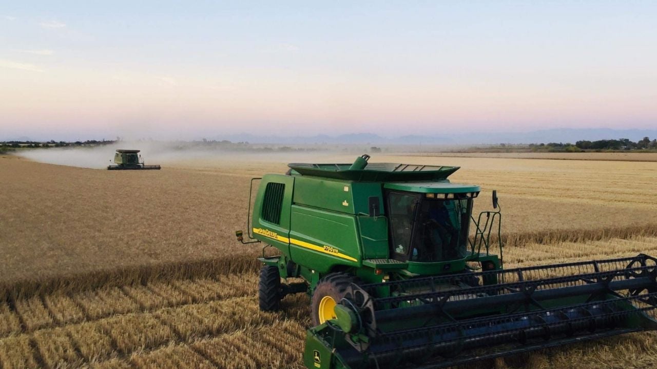 Jorge Russo exige una solución para los productores de trigo panificable