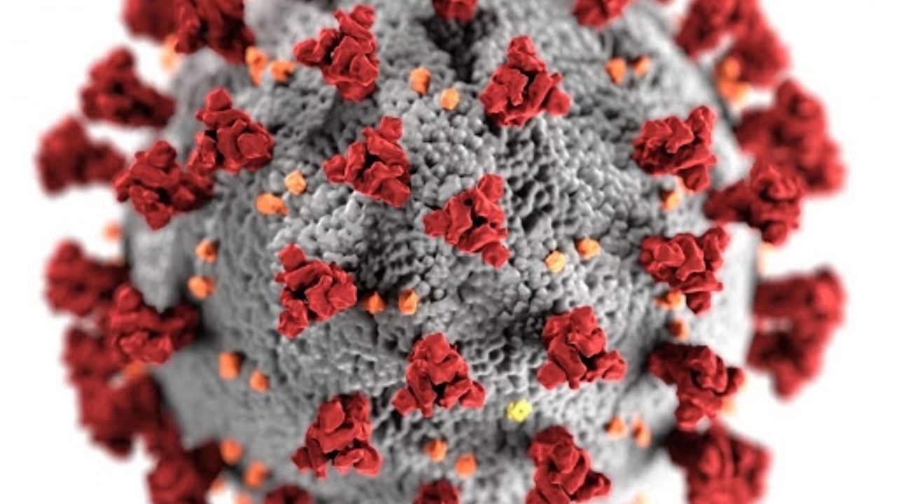 Brote de coronavirus en el Gobierno de Chiapas afecta a cinco funcionarios