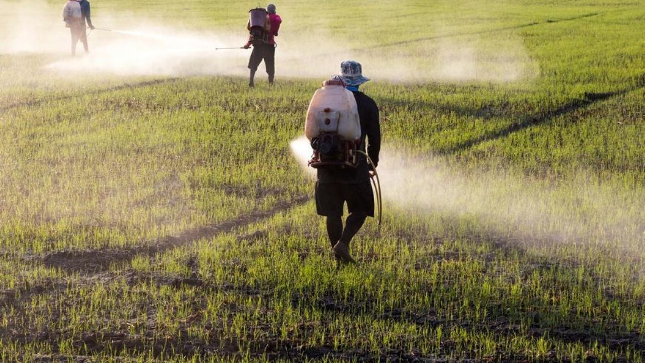 Semarnat y CNA buscan darle solución al tema del glifosato en el agro