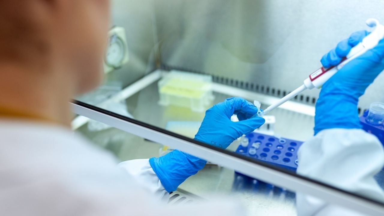 Ayuda Covid-19: Hallan anticuerpos en pacientes recuperados que protegen del coronavirus