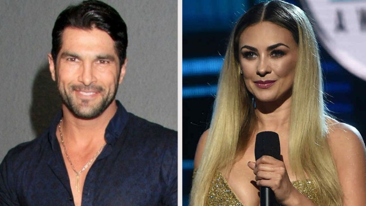 Galán de Televisa ‘explota’ y pide que no lo relacionen más con Aracely Arámbula
