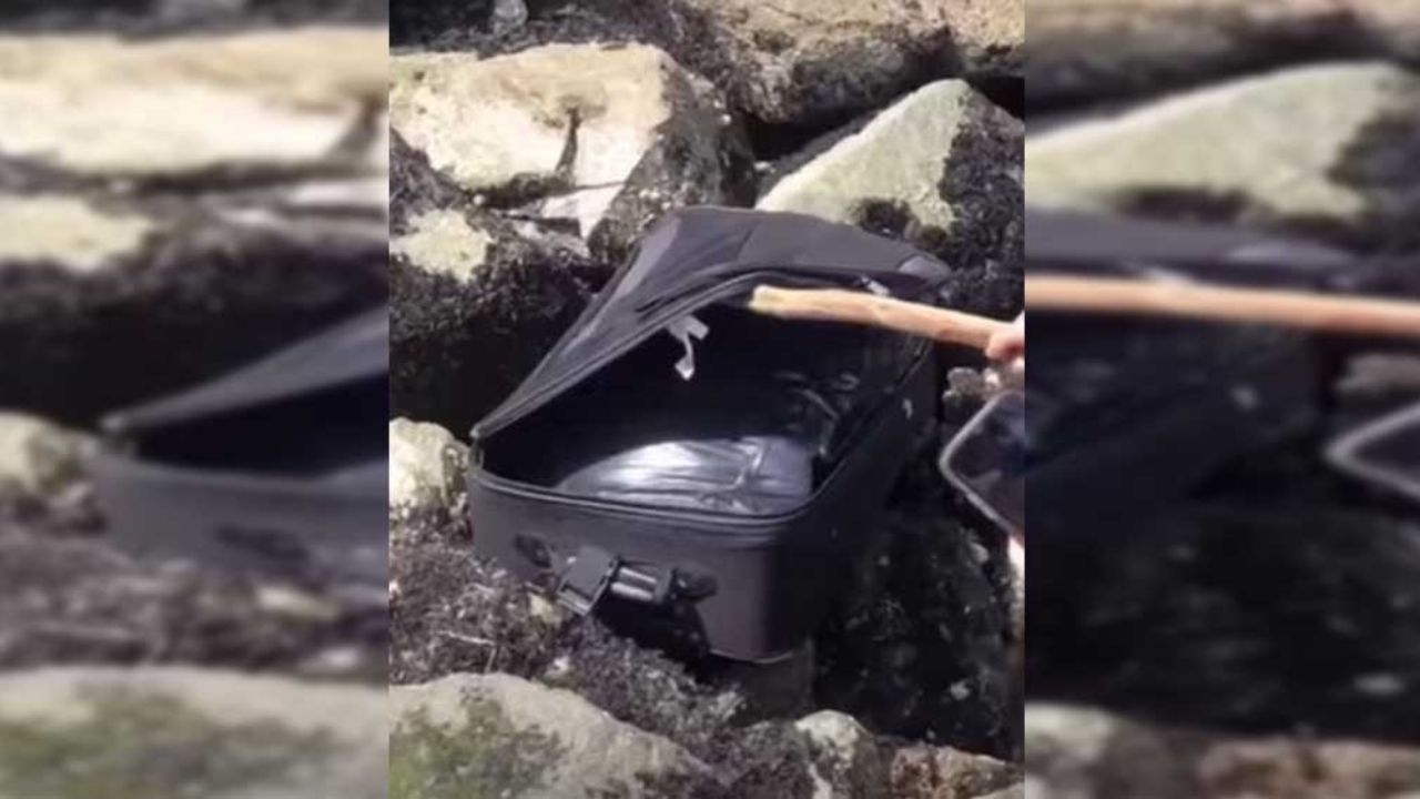 VIDEO: Jóvenes graban video para TikTok y se encuentran con algo escalofriante