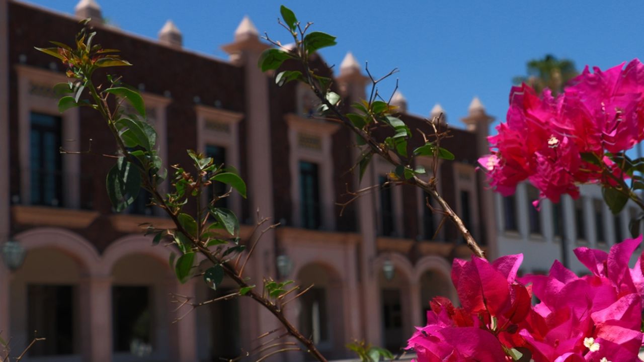 Unison informa que examen de admisión será en línea este año para prevenir Covid-19