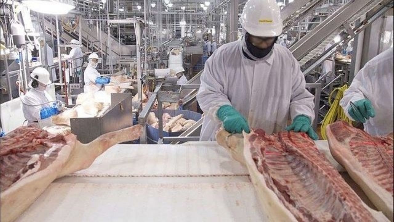 Brote de Covid-19 en una planta de carne deja 165 empleados contagiados en Reino Unido