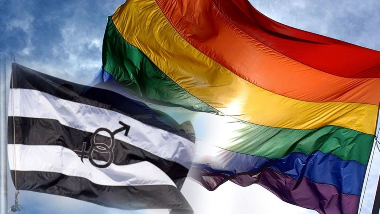 Internautas se burlan de usuarios que defienden el Día del Orgullo Hetero