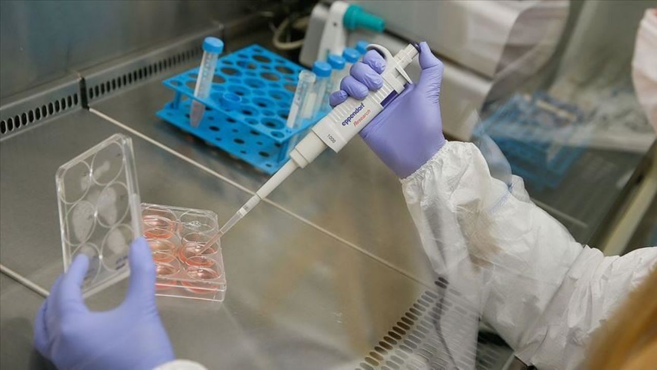 Ayuda Covid-19: Resultados de los primeros ensayos de fármacos estarían en dos semanas