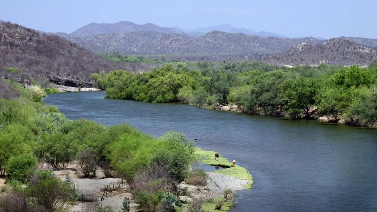 “Acuaférico: Una obra colgada de alfileres”: Alejandro Olea Güereña