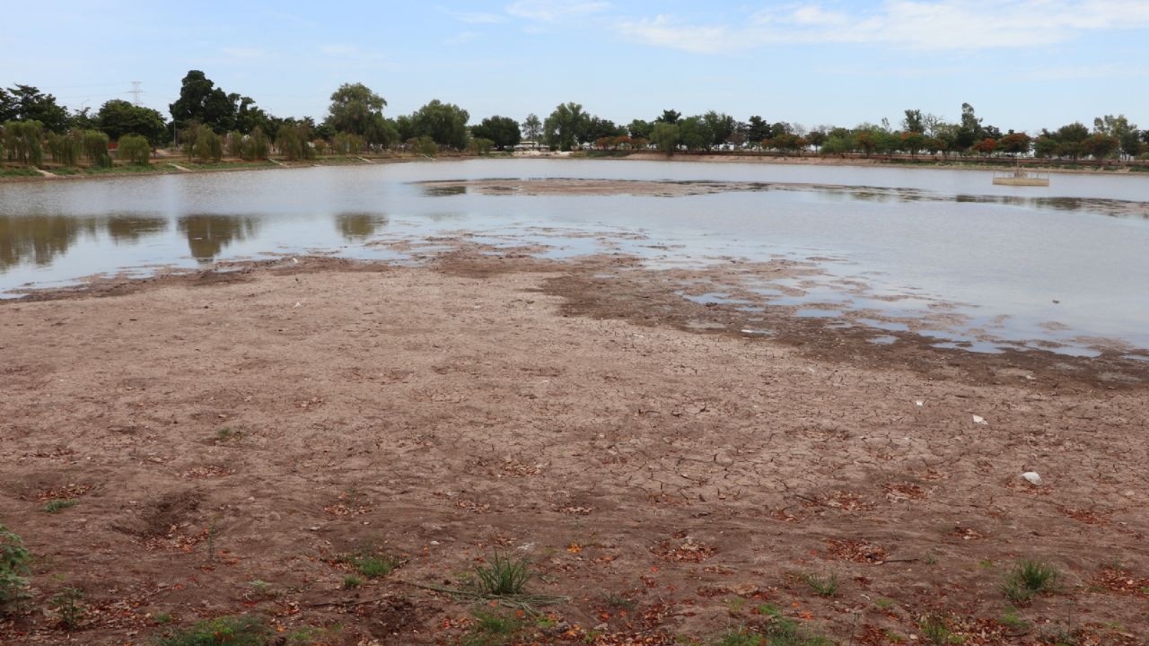 Cajeme: Secan Laguna del Náinari para acabar con el pez diablo