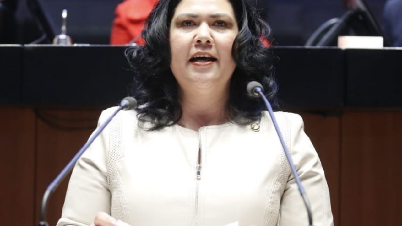 Morena expulsa de sus filas a senadora que apoyó al PRD en el 2019