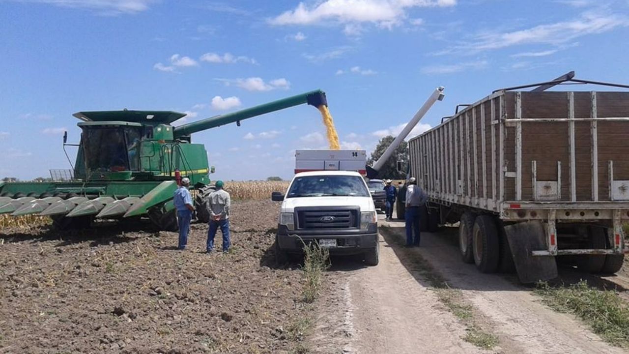 Actividad laboral agrícola de Sonora sufre desplome de 10 por ciento