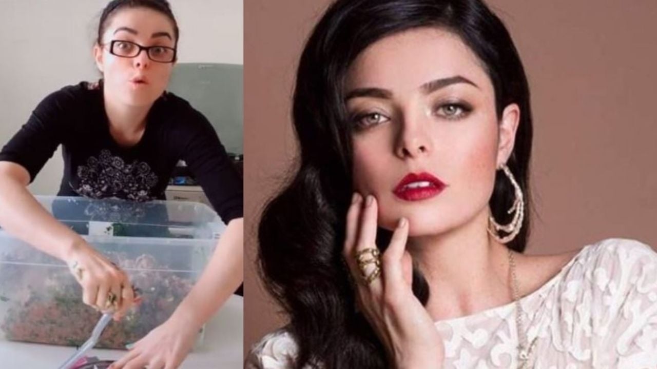 Tras vender hamburguesas ante falta de trabajo, actriz de Televisa da importante noticia