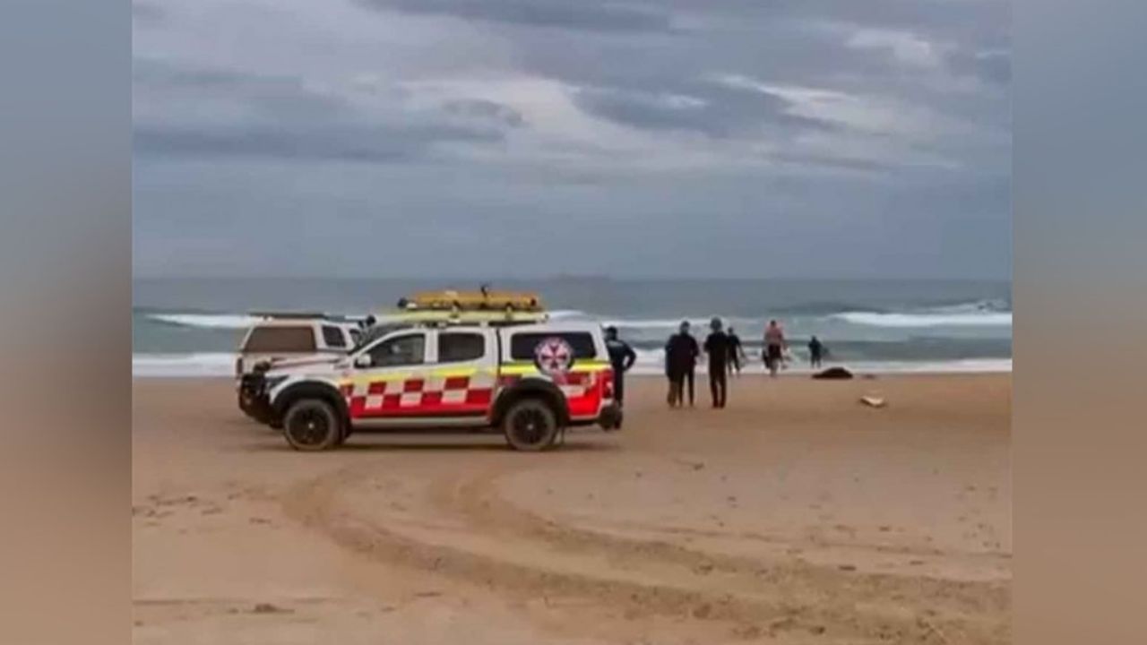¡Lamentable! Joven surfista pierde la vida tras ser atacado por un Tiburón en Australia