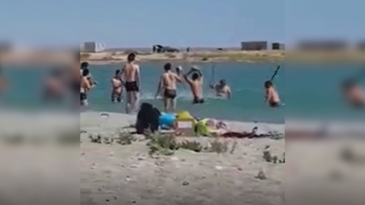 VIDEO: ¡Indignante! Golpean con palos a una foca para que niños se tomen fotos con ella