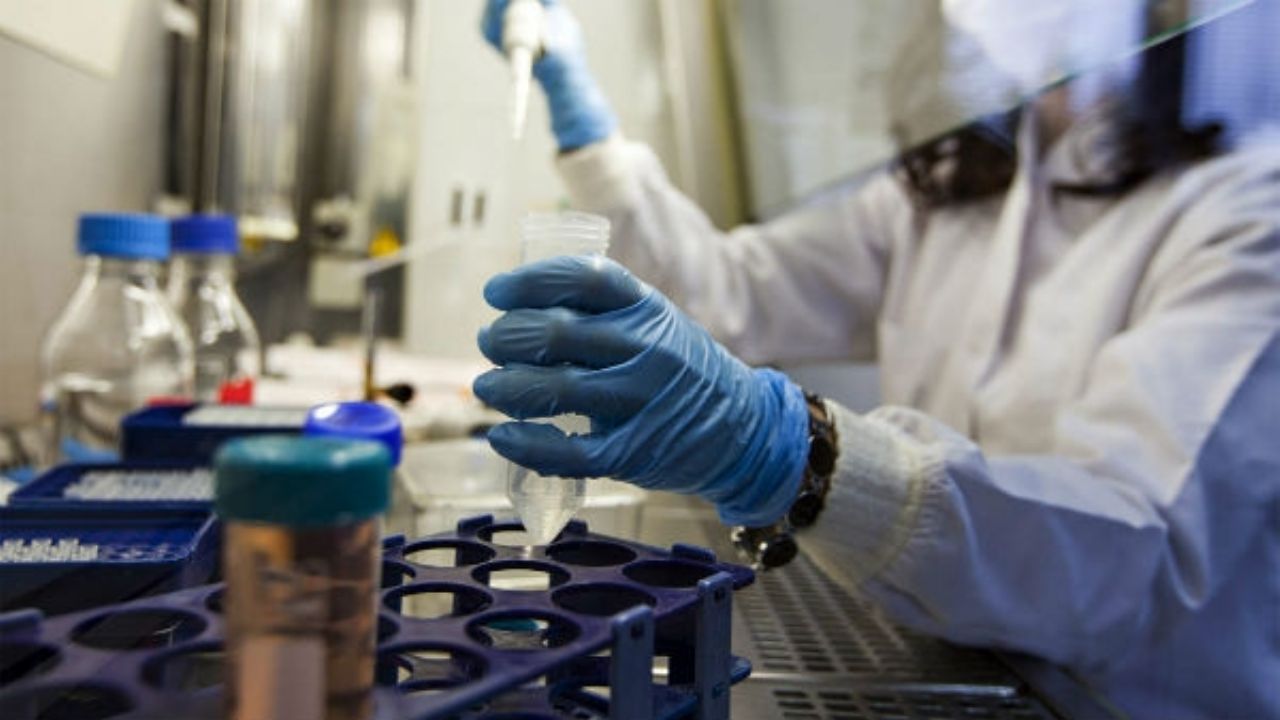 Ayuda Covid-19: Logran obtener por primer vez anticuerpos que neutralizan el SARS-CoV-2 en Rusia